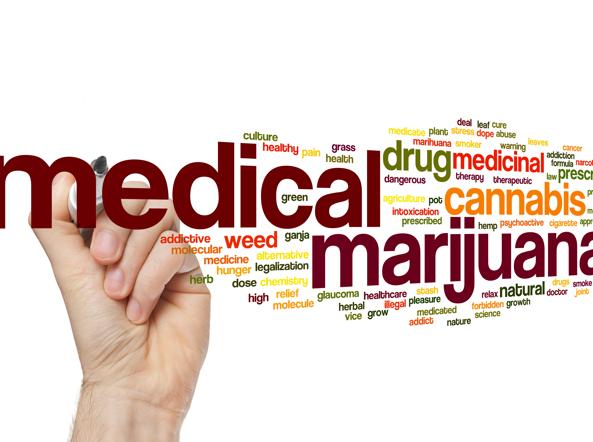 Potenzialità terapeutiche – Erba Legale e Cannabis Light