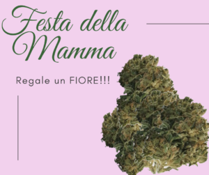 Festa della mamma