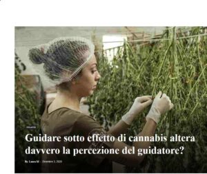 guidare sotto effetto di cannabis terapeutica altera la guida?