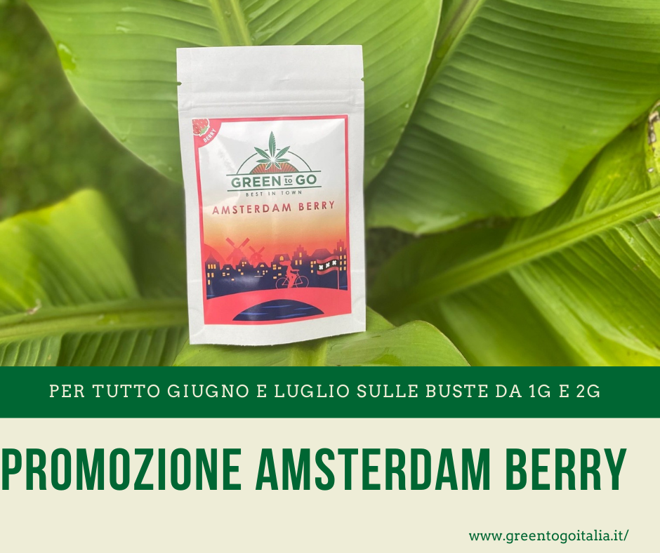 Promo giugno e luglio Amsterdam Berry