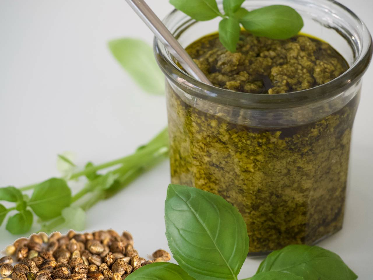 Ricetta pesto alla canapa Greentogoitalia