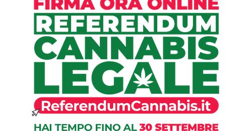 referendum cannabis light